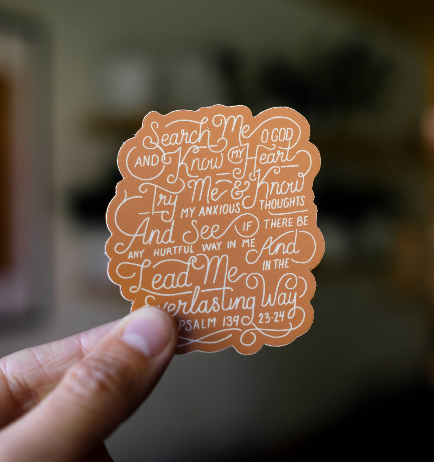 Search Me Sticker